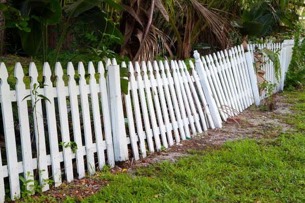 Old Fence Removal